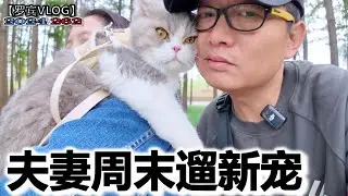 高薪请了一个摄影助手，孩子不在身边，成长型父母的自我修炼之路【罗宾VLOG】