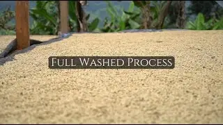 Full Washed Process 全水洗工艺
