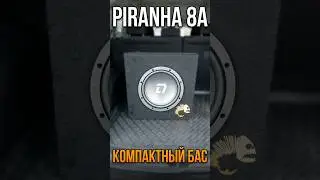 DL Audio Piranha 8A! Компактный и очень доступный активный сабвуфер