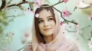 💖Башир Шаугенов  