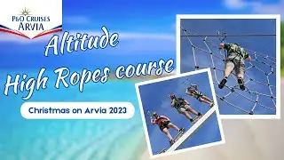 Altitude Skywalk - Arvia's High Ropes course: Arvia at Christmas 2023