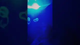 👾🤙