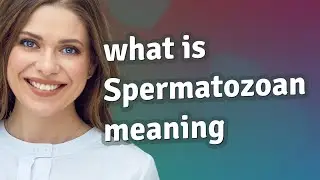 Spermatozoan | meaning of Spermatozoan