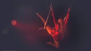 Tango Swinging Trapeze Milena Oksanen