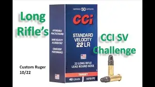 CCI SV LR Challenge Custom Ruger 10-22 24