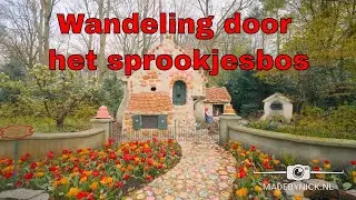 Sprookjesbos wandeling Loop - Rustige ontspannen werkmuziek - muziek om te Relaxen