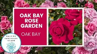 One of Canada's Most Beautiful Rose Gardens 🌹 | Oak Bay, B.C.