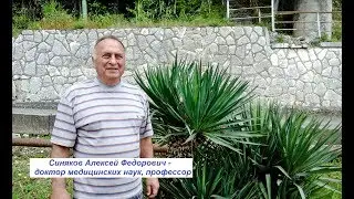 Таинство исцеления на волне эмоционального подъема
