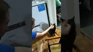 22 мая 2024 г.