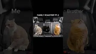 Cat Memes: Roadtrip PT.2 | 