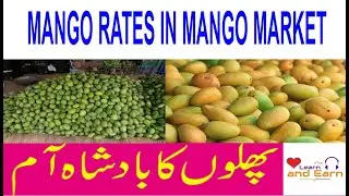 Mango |Phalon ka Badshah Aam| Rates in Mango Market Quality Wise