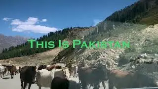 THIS IS PAKISTAN