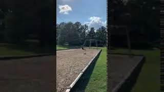 Video of Yogi Bear's Jellystone Park Luray, VA from Jen O.