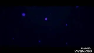 Как  изменить своё местоположение?
