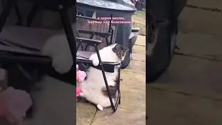 Ну люблю я конфеточки 🥺🤌🏼🤌🏼🤌🏼