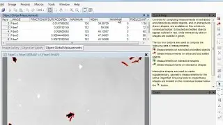 ADCIS Products : Aphelion Lab&Dev 4.0 (Image Analysis Software) : Object Global Measurements