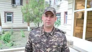 Tulki bolasi topildi
