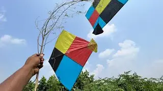 Caught kite 🌳 kite looting on ground | kite catching | kite looters