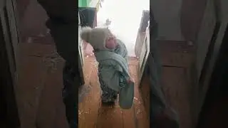 Дразнит котика 🙂