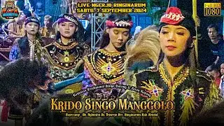 Kuda Kepang Srandul Putri  Krido Singo Manggolo Live Ngerjo Ringinarum, 7/9/2024