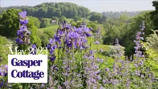 Magical May in the cottage garden