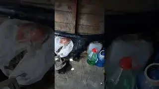 #Alpha🔩