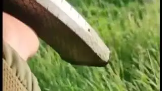 Эпические кадры!!!