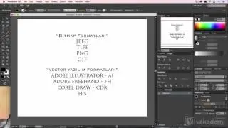 (Adobe Illustrator Başlangıç Rehberi) Vektör Nedir?