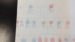 Intro to Family Pedigree Project