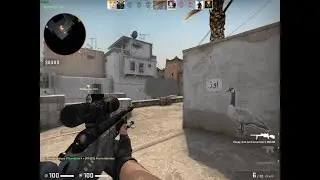 The most lucky scout shot...