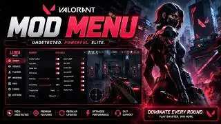 I Used The BEST VALORANT CHEAT In 2026.. (External & Completely Undetected)