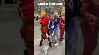 Genshin impact fight? 