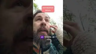 Из жизни муравьев. Ставь лайк если муравей. репост если термит. 