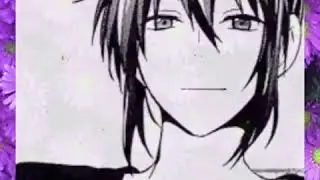 Shion flower