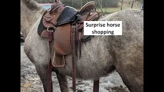 Took my daughter surprise horse shopping. check out her channel. https://youtu.be/fT3qntNc7Y4