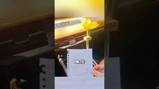 Как заставить жену ездить без происшествий  😅🚘📝