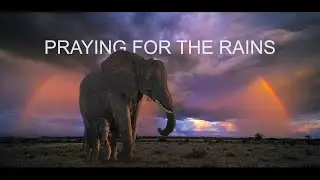 Praying For The Rains