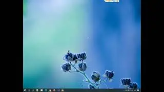 Windows: Use regular expression to automatically organize files by their name, using Copywhiz