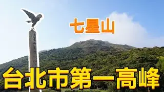 【帶老鷹去爬山EP.9】｜Hawk training｜台北市最高峰！七星山！山頂霧氣瀰漫！小寶換羽失控不見要找鳥啦！！！