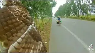 I have so many questions with this clip
