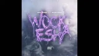 Big Mirr & Quin NFN - Wockesha (Official Visualizer)
