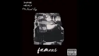 Shane Healy - Famous (feat. Vincent Vega) (The Making Of Famous) (Official Audio)