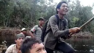 VC-16 Action paling seru gangguin Ular sawah di canal