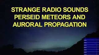 Strange Radio Echoes: Perseid Meteors / Auroral Propagation