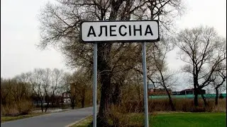 Алесино. Исполняет ансамбль «Плиса»