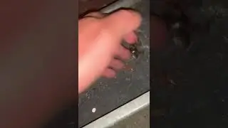 Помог жуку ч1. 