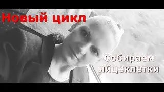 Естественно модифицированный цикл // собираем яйцеклетки в естественном цикле