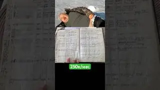 Выручка 250к в месяц на двух глэмпингах в Рязани