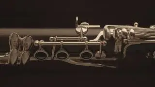 Кларнет Bb Buffet Crampon E13 от ателье Доценко и Ко.