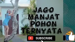 Aura Kasih pecicilan moments